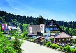 Hôtel Bade-Wurtemberg - Hotel-Berggasthof Schwarzwaldperle-1