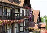 Hôtel Château du Haut-Koenigsbourg - Hotel Restaurant Au Parc des Cigognes-2
