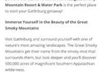 Hôtel Gatlinburg - Westgate resorts-1