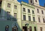 Hôtel Hradec Králové - Hotel Vacek Pod Věží-3