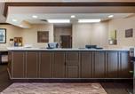 Hôtel Sycamore - Comfort Inn & Suites Geneva- West Chicago-4