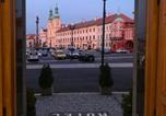 Hôtel Hradec Králové - Hotel Vacek Pod Věží-4