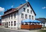 Hôtel Eisenbach (Hochschwarzwald) - Gasthof & Pension Steppacher-1
