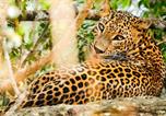 Location vacances  réserve naturelle de Bundala - La Safari Inn Tissamaharama-2