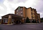 Hôtel Decatur - Holiday Inn Express Hotel & Suites Atlanta East - Lithonia by Ihg-1