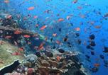 Villages vacances Bangli - Garuda Dive & Accomodation Nusa Penida-2