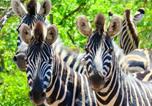 Location vacances Polokwane - Lichenry Bush Lodge-2