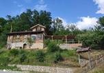 Location vacances  Guca - Guest House Veliki Grabovski-1