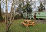 Location vacances Newcastle Emlyn - Rose Villa Caravan-1