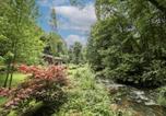 Location vacances Eden Project - Dippers woodland setting at the Luxulyan Valley-3
