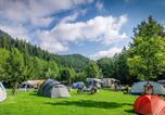 Camping Pelugo - Camping Cevedale-1