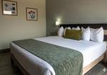 Hôtel Irapuato - Hotel Ejm Premium-4