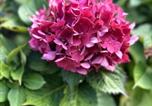 Location vacances  Eure - Clos des hortensias-3